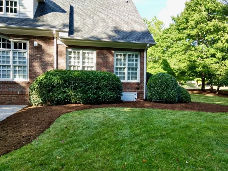 Custom yard cleanup service for residential properties in Ruckersville, VA by Carmona's Lawn Care & Tree Services