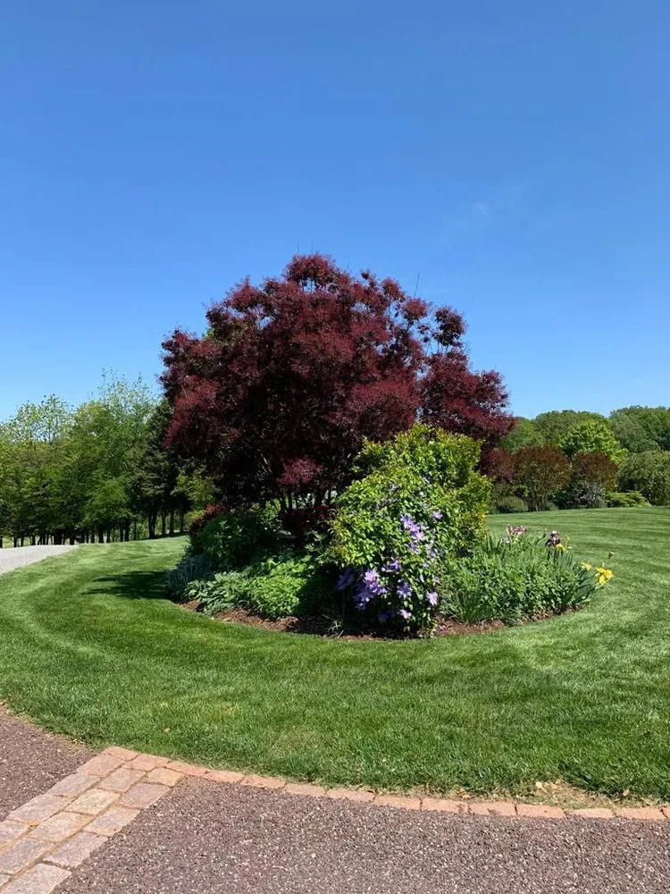 Reliable landscape installation for outdoor upgrades in Ruckersville, VA by Carmona's Lawn Care & Tree Services