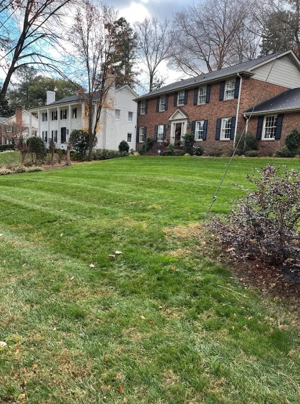Professional yard cleanup service in Durham, NC by Carnation Landscaping