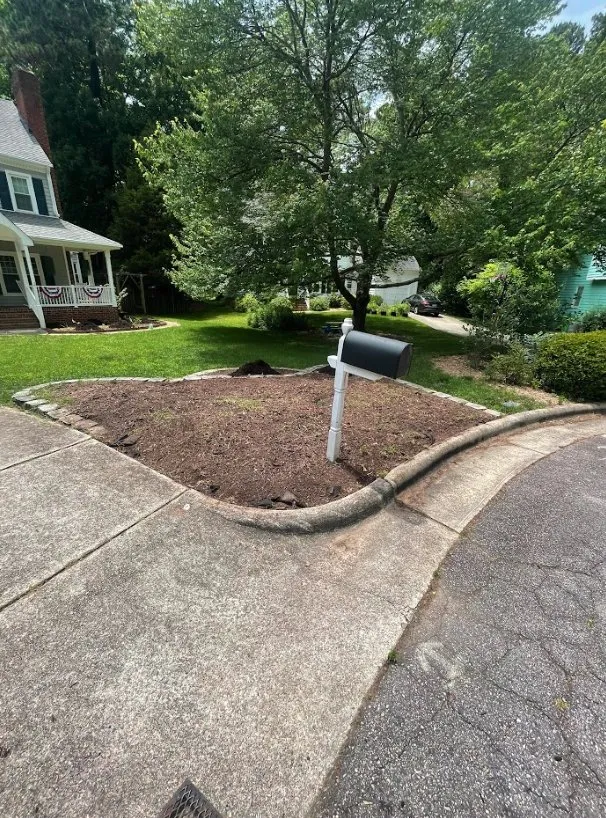 Top-rated outdoor landscaping for year-round maintenance in Durham, NC by Carnation Landscaping
