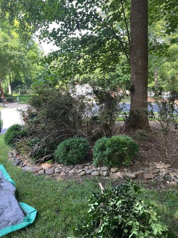 Reliable residential landscaping for outdoor upgrades in Durham, NC by Carnation Landscaping