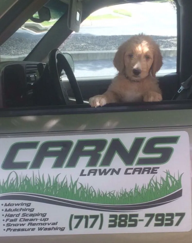 Expert lawn mowing service in Carlisle, PA by Carns Lawn Care and Landscaping