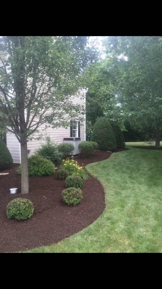 Affordable yard cleanup service experts serving Carlisle, PA - Carns Lawn Care and Landscaping
