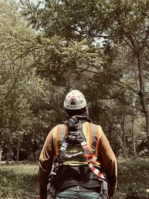 Caro Advance Services Logo