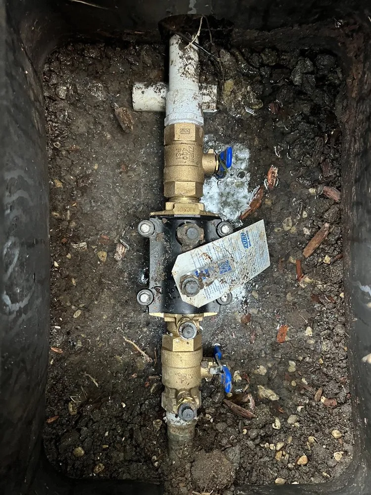 Reliable landscaping services in Frisco, TX - Carol Anns Landscape and Irrigation