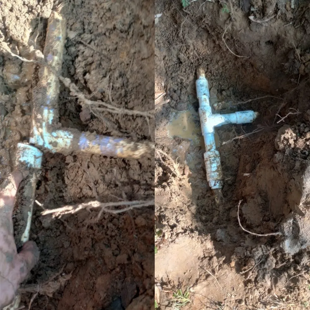 Affordable lawn care service for homes in Frisco, TX by Carol Anns Landscape and Irrigation