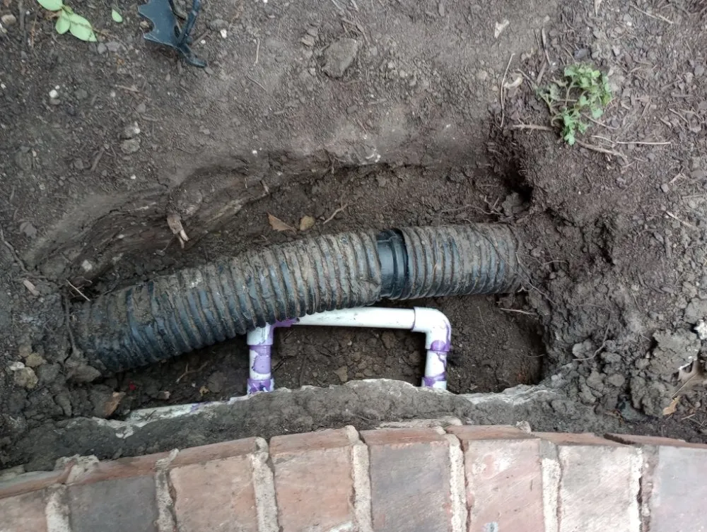 Local landscape design in Frisco, TX - Carol Anns Landscape and Irrigation