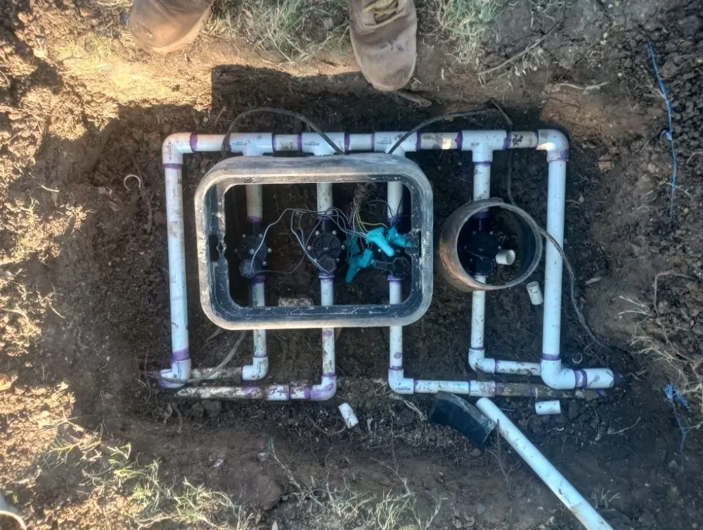 Affordable lawn care service for outdoor upgrades across Frisco, TX - Carol Anns Landscape and Irrigation