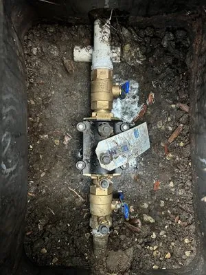 Carol Anns Landscape and Irrigation Logo