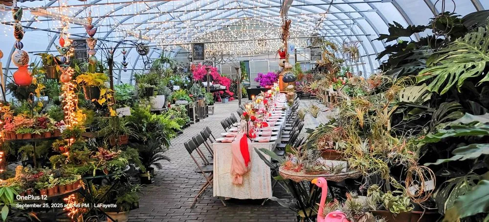 Top-rated yard maintenance in LaFayette, NY - Carol Watson Greenhouse & Landscaping