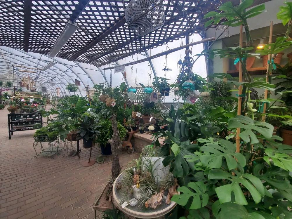 Local yard cleanup service in LaFayette, NY - Carol Watson Greenhouse & Landscaping