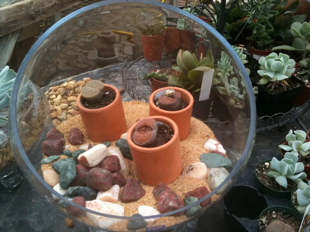 Professional landscape design in LaFayette, NY - Carol Watson Greenhouse & Landscaping