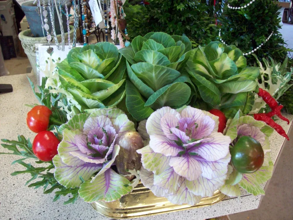 Reliable outdoor landscaping in LaFayette, NY - Carol Watson Greenhouse & Landscaping