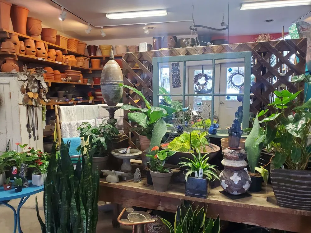 Trusted lawn care service in LaFayette, NY by Carol Watson Greenhouse & Landscaping