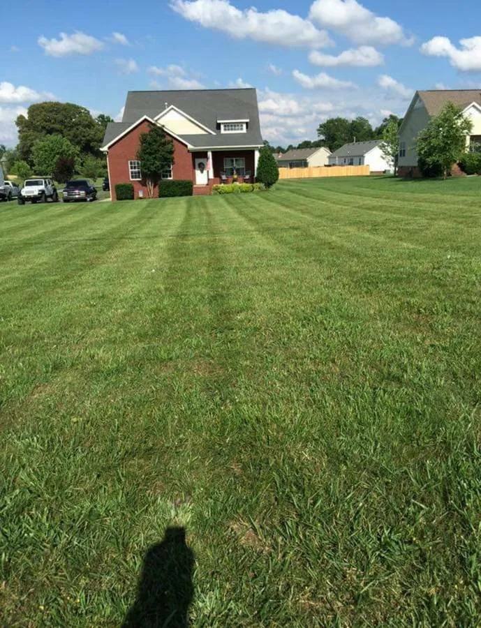 Custom lawn mowing service for year-round maintenance across Columbia, SC - Carolina Advanced Home Services