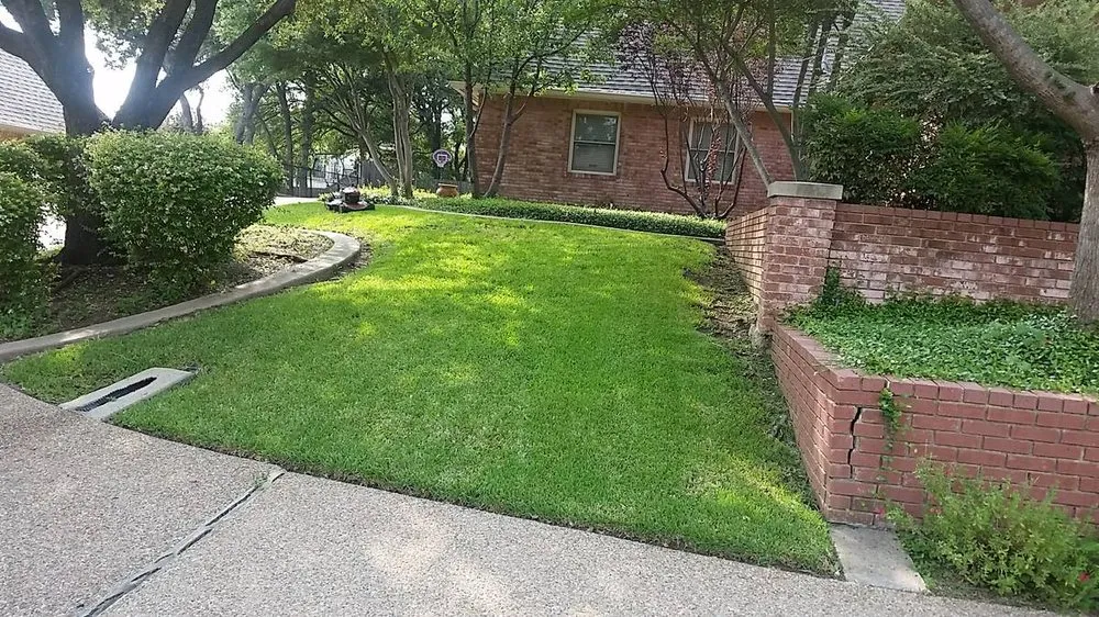 Professional yard maintenance in Columbia, SC by Carolina Advanced Home Services