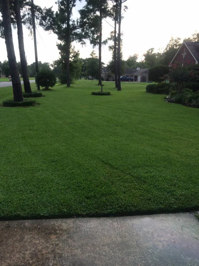 Custom landscaping services in Columbia, SC - Carolina Advanced Home Services