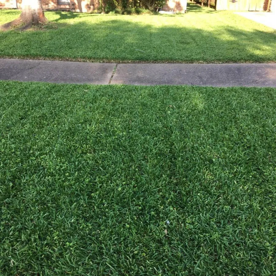 Affordable landscaping services experts serving Columbia, SC - Carolina Advanced Home Services