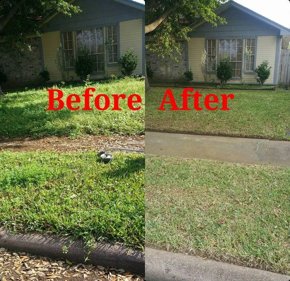 Reliable landscaping services in Columbia, SC by Carolina Advanced Home Services