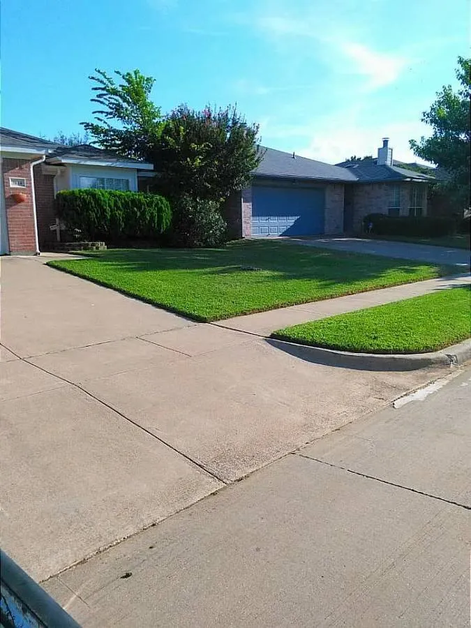 Reliable residential landscaping for homes across Columbia, SC - Carolina Advanced Home Services