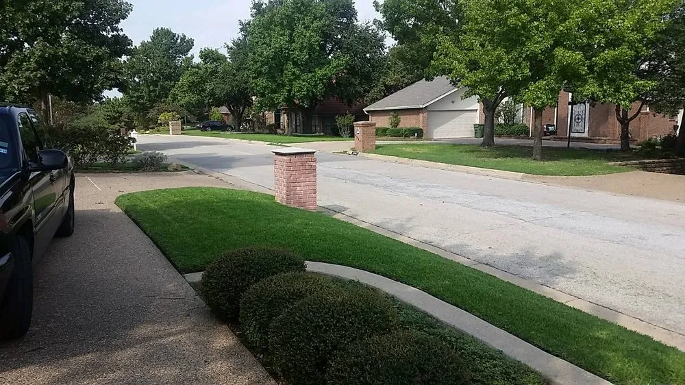 Top-rated yard cleanup service experts serving Columbia, SC - Carolina Advanced Home Services