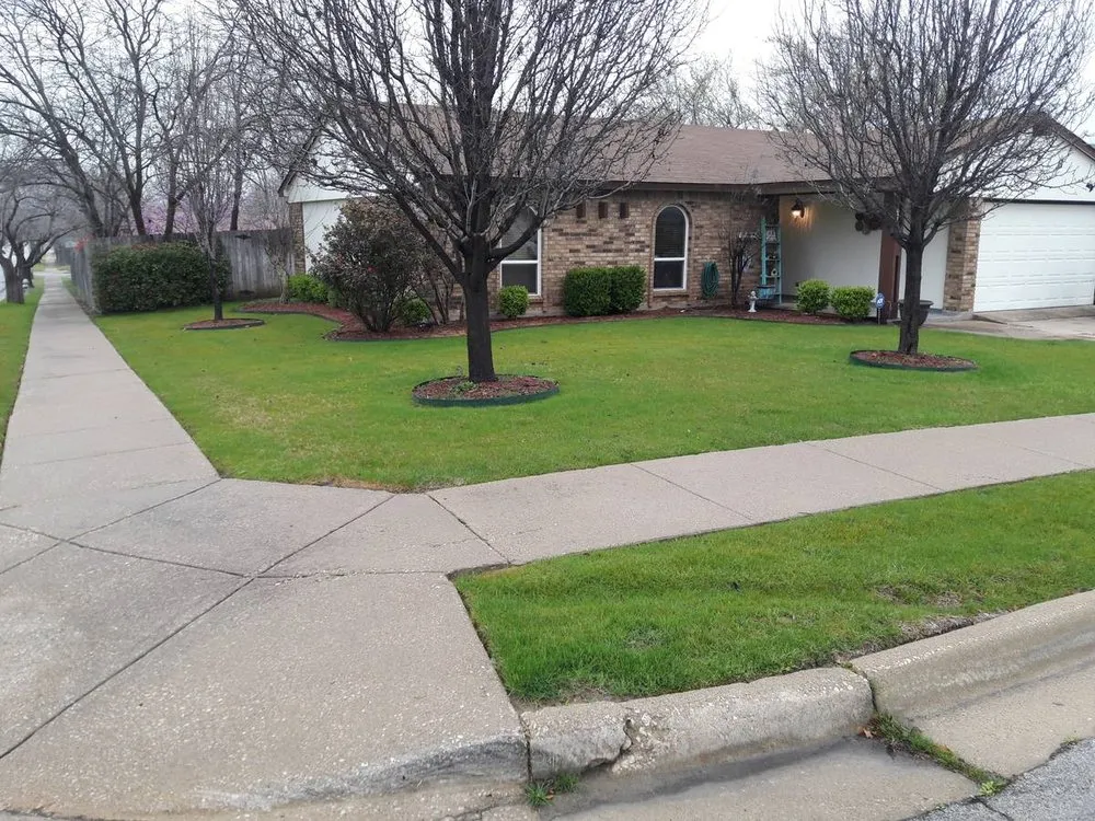 Top-rated lawn mowing service experts serving Columbia, SC - Carolina Advanced Home Services