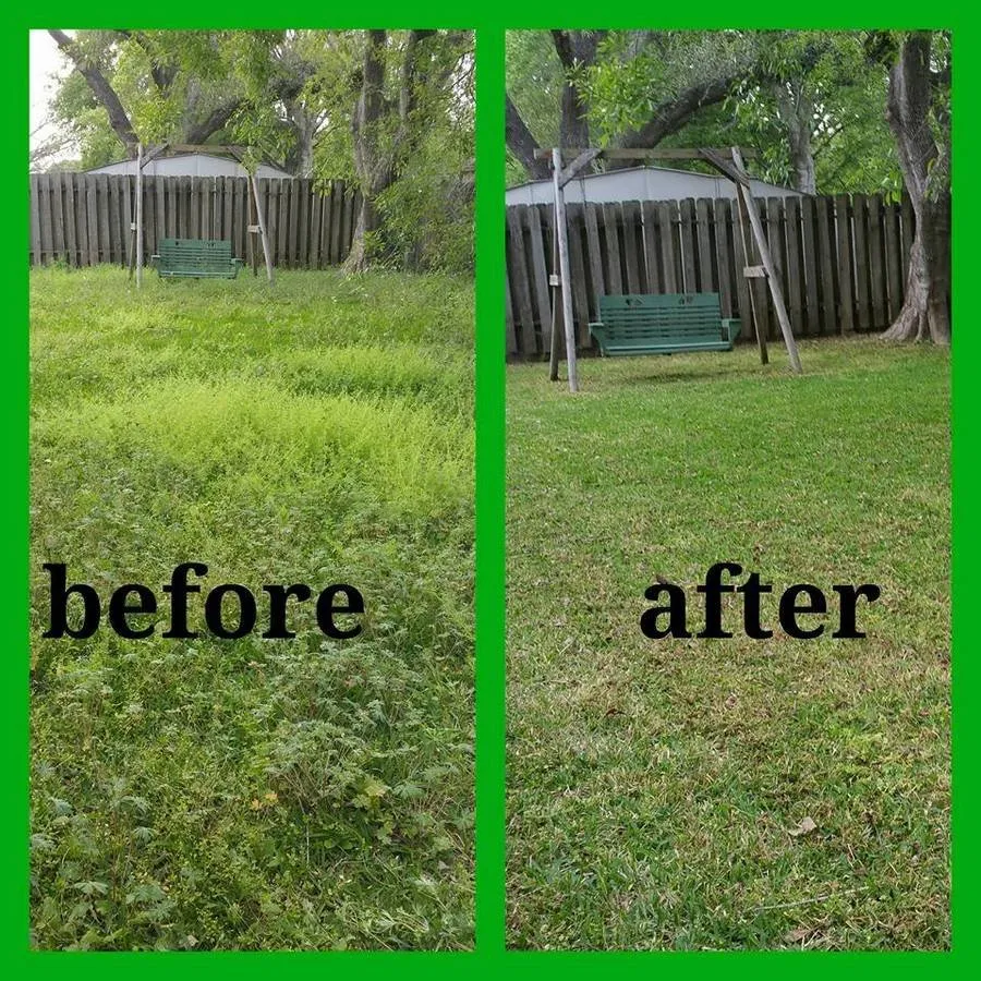 Trusted residential landscaping in Columbia, SC by Carolina Advanced Home Services