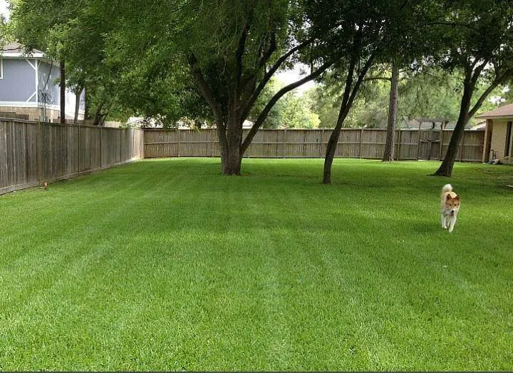 Professional outdoor landscaping near you in Columbia, SC by Carolina Advanced Home Services