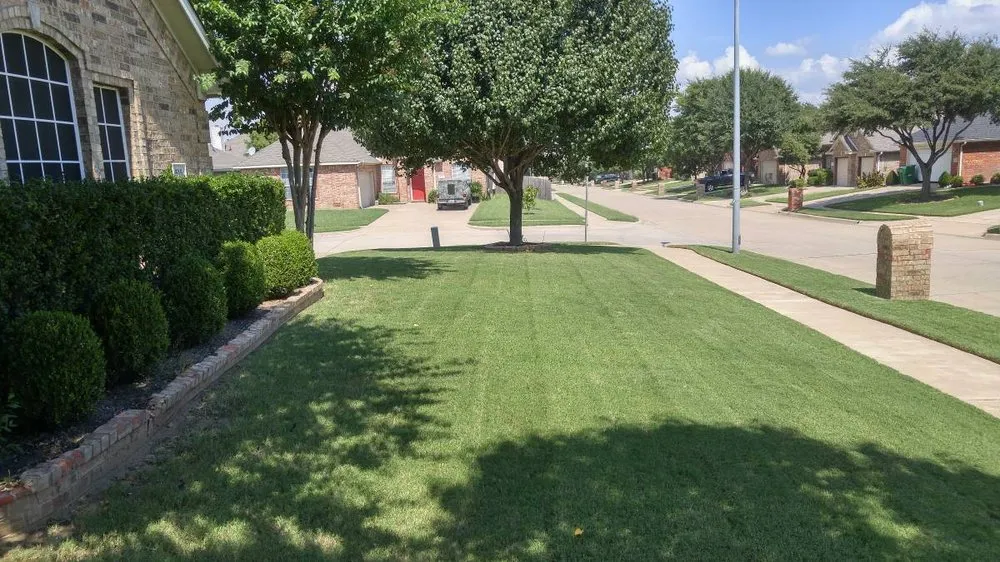 Trusted yard maintenance for beautiful yards in Columbia, SC by Carolina Advanced Home Services