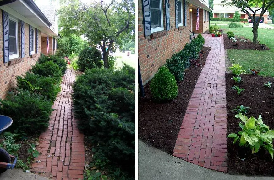 Affordable yard cleanup service in Columbia, SC by Carolina Advanced Home Services