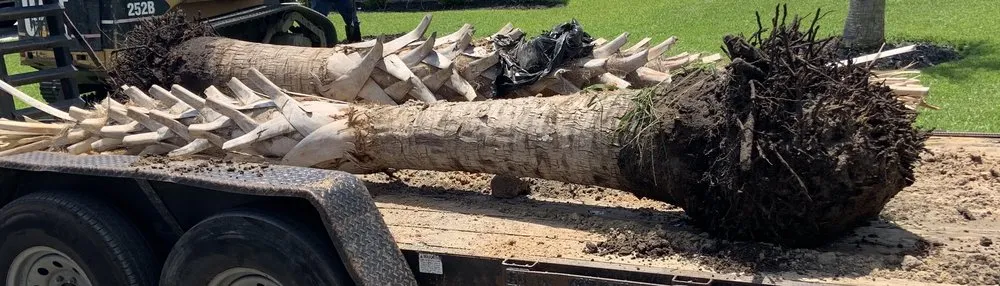 Custom residential landscaping experts serving Conway, SC - Carolina Boys Landscaping