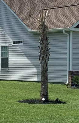 Carolina Boys Landscaping Logo