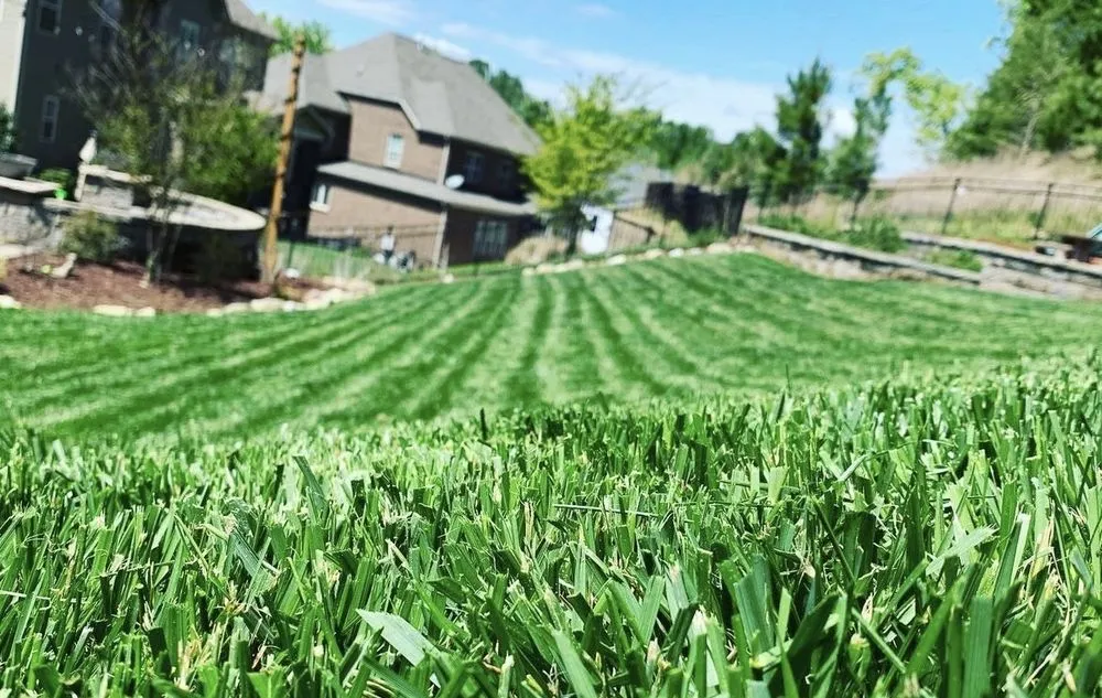 Reliable garden landscaping experts serving Rock Hill, SC - Carolina Breeze Lawn and Landscape