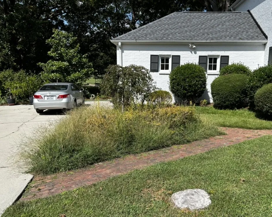 Professional landscape design experts serving Rock Hill, SC - Carolina Breeze Lawn and Landscape