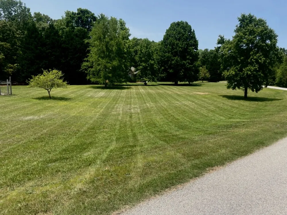 Top-rated landscape design in Rock Hill, SC - Carolina Breeze Lawn and Landscape