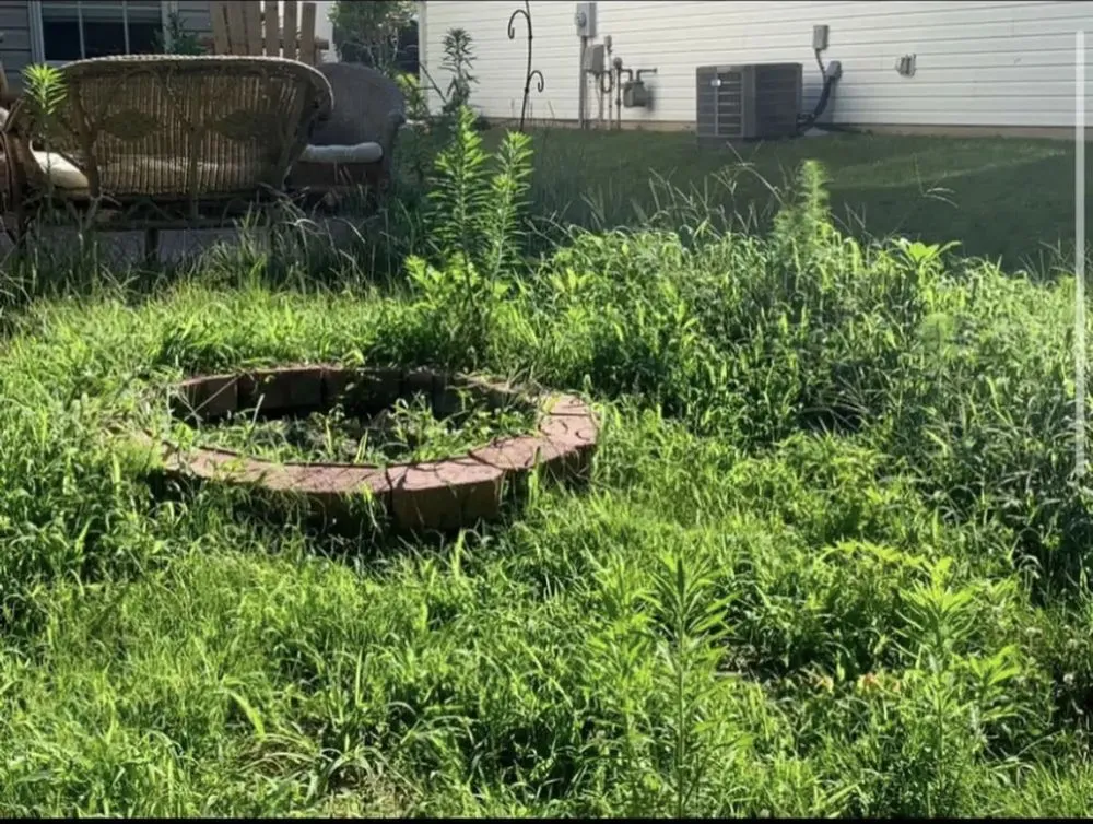 Reliable landscape design for residential properties in Rock Hill, SC by Carolina Breeze Lawn and Landscape