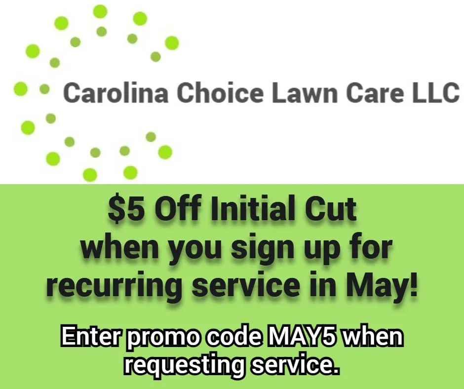 Affordable lawn mowing service for outdoor upgrades across Jacksonville, NC - Carolina Choice Lawn Care