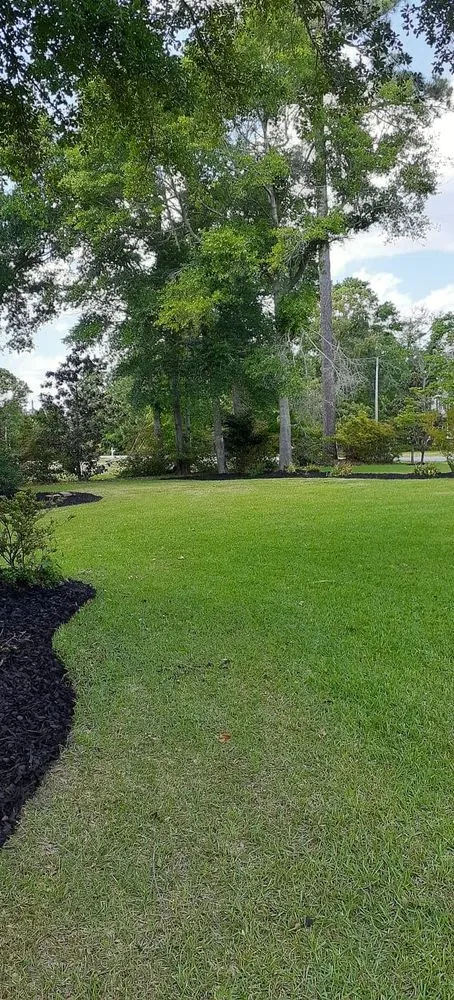 Custom lawn care service in Jacksonville, NC by Carolina Choice Lawn Care