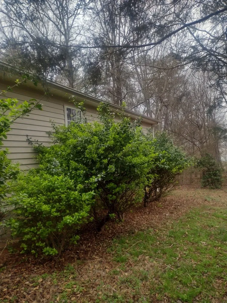 Custom outdoor landscaping experts serving Clover, SC - Carolina Construction Cleaning