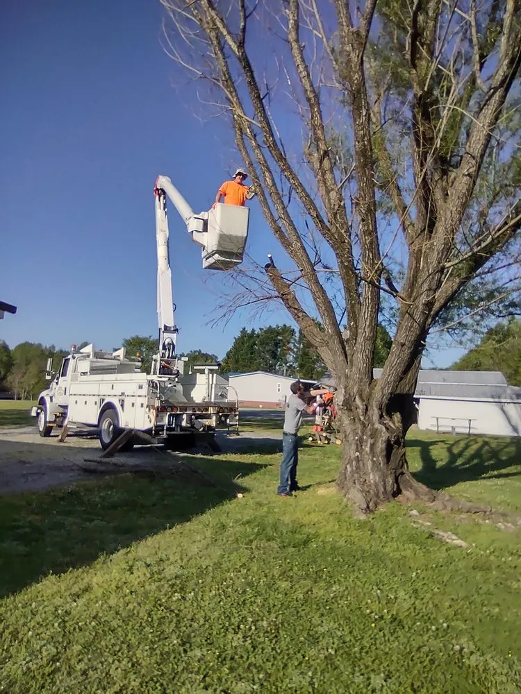 Affordable landscaping services for year-round maintenance in Micro, NC by Carolina Construction Plus
