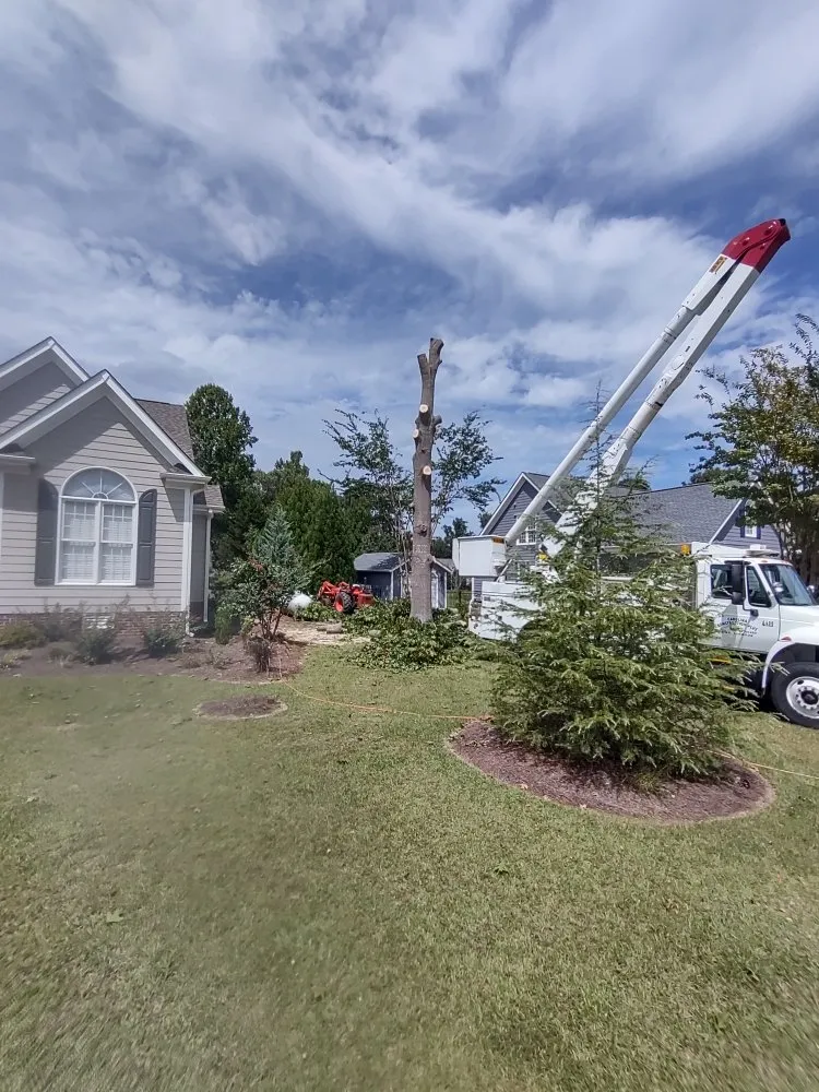 Custom lawn care service in Micro, NC by Carolina Construction Plus