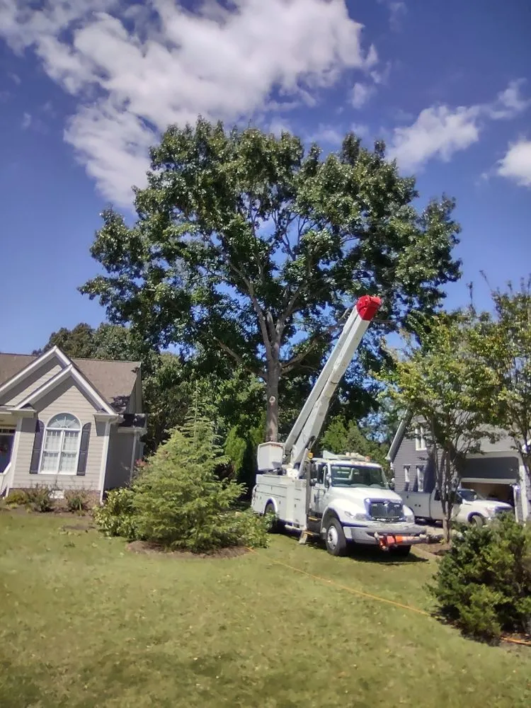 Professional outdoor landscaping for homes in Micro, NC by Carolina Construction Plus
