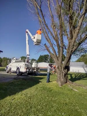 Carolina Construction Plus