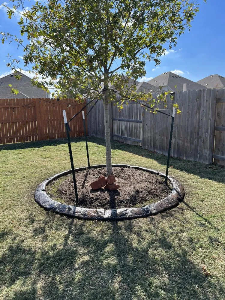 Trusted landscape installation with custom design across Columbia, SC - Carolina Curb Pros