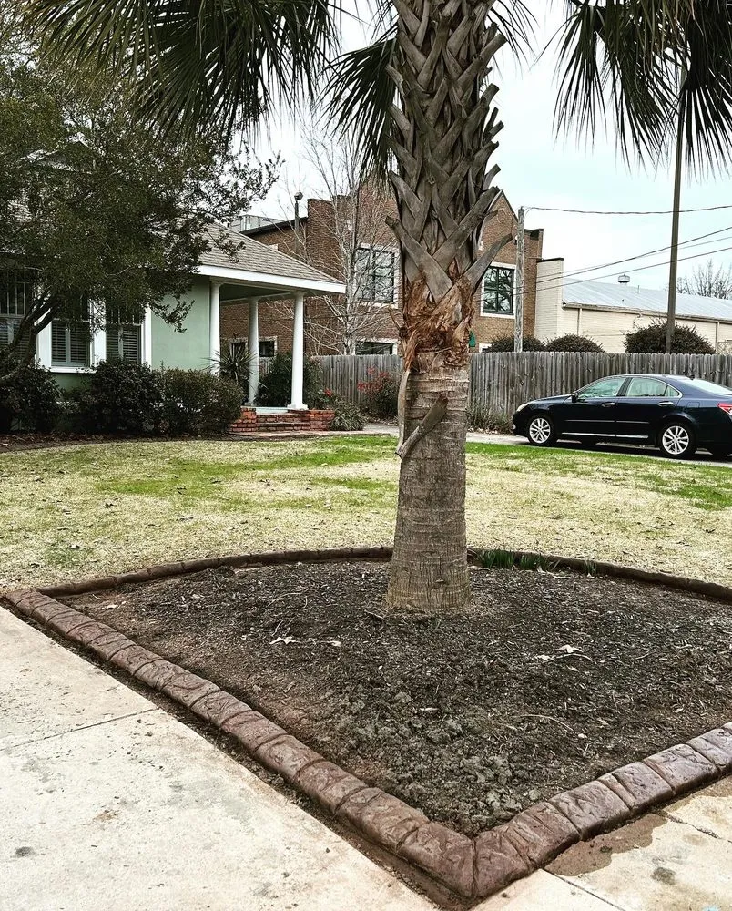 Reliable lawn care service for homes in Columbia, SC by Carolina Curb Pros