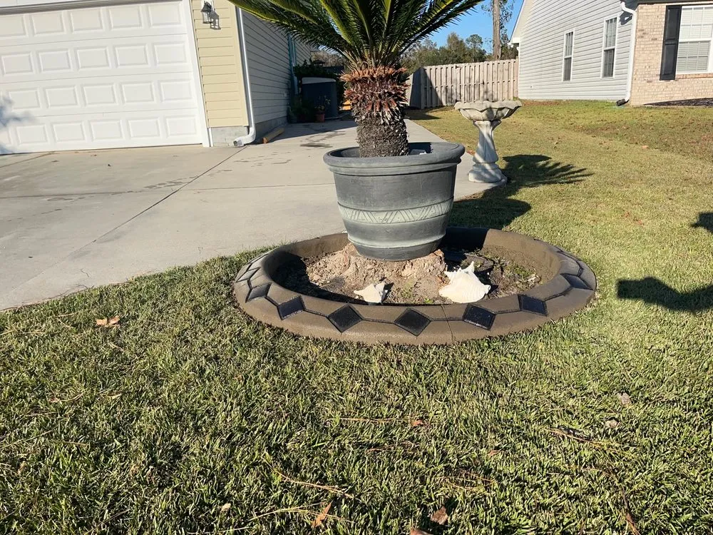 Local lawn care service in Conway, SC - Carolina Custom Curbs