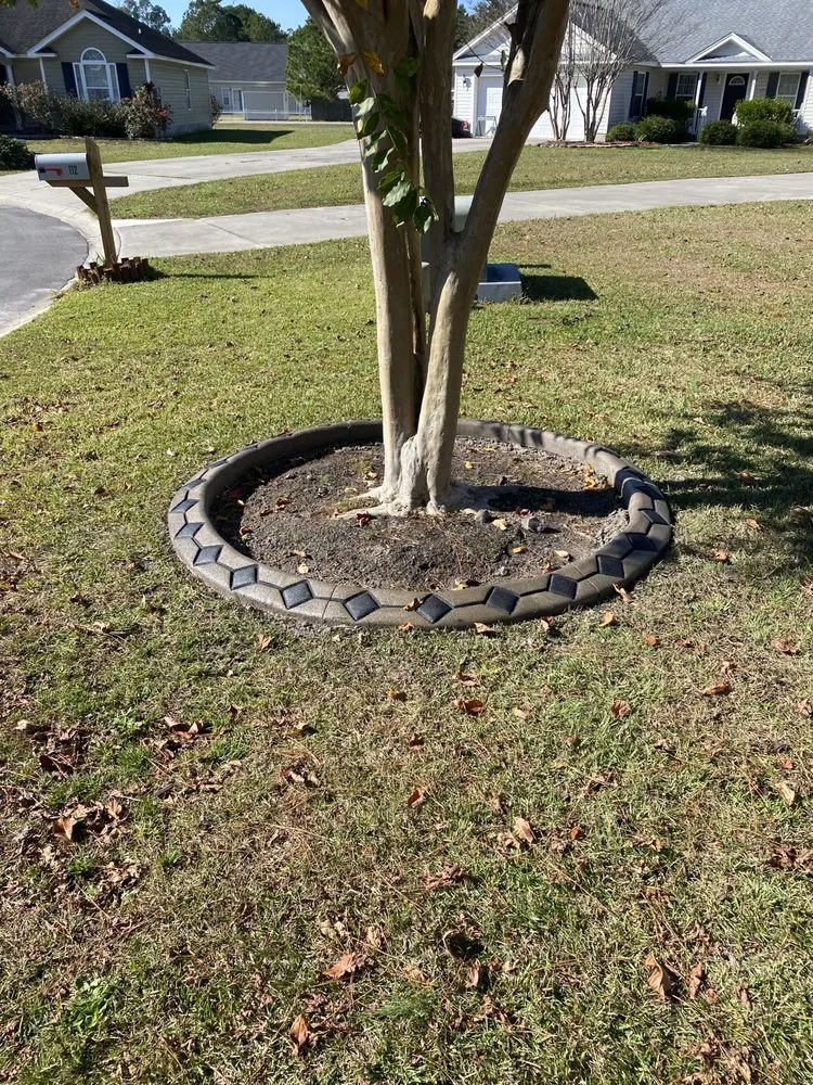 Expert landscaping services in Conway, SC - Carolina Custom Curbs