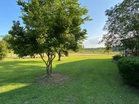 Affordable yard cleanup service in Gaston, SC - Carolina Cuts & Property Maintanance