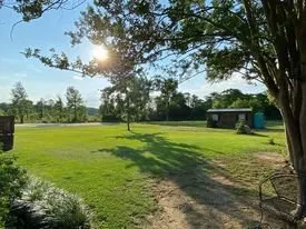 Trusted yard cleanup service in Gaston, SC by Carolina Cuts & Property Maintanance