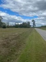 Top-rated outdoor landscaping in Gaston, SC - Carolina Cuts & Property Maintanance